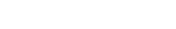 Shopify Partners